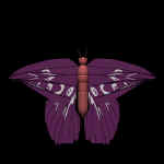 NileRuler.jpg (25999 bytes)