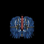 butt.jpg (32732 bytes)