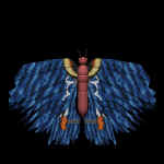 goldCollar01.jpg (37522 bytes)