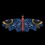 skinnywings.jpg (27944 bytes)