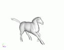 running horse